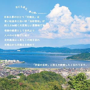 【日本三景・天橋立】旅館組合20施設から選べる旅行クーポン（宿泊・食事補助券）3,000円分 ～海の京都 宮津で過ごす絶景旅に～