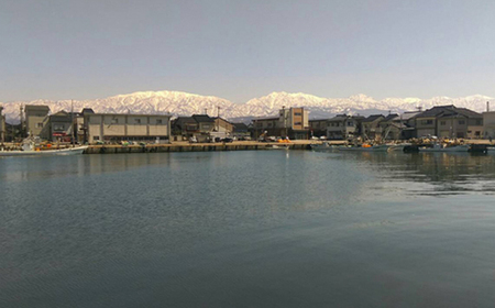 【富山の干物専門店】伝承の紅鮭10切 ｜ 魚介類 魚貝類 海鮮 鮭 切り身 セット 冷凍 魚 お取り寄せグルメ 鮭しゃけ シャケ 切身 干物 お弁当 朝食 おかず 晩酌 ハマオカ海の幸 魚貝類 北陸 富山県 富山湾 魚津市