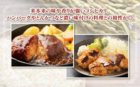 【令和7年度米】富山県 うおづ産米「コシヒカリ」15kg（5kg×3袋）（精米）｜こしひかり こめ コメ お米 おこめ 白米 精米 雪解け水 香り うまみ あまみ 冷めても 美味しい おにぎり お弁当 高品質 魚津市 ※2025年10月上旬～2026年8月下旬頃に順次発送予定 ※北海道・沖縄・離島への配送不可