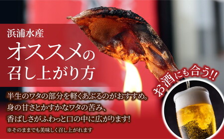 ほたるいか 素干し 160g (20g×8袋 )セット | 全国水産加工業協同組合連行会会長賞受賞 浜浦水産 おつまみ つまみ 珍味 いか イカ 干物 ひもの 魚介 魚介類 海鮮　※北海道、沖縄、離島への配送不可