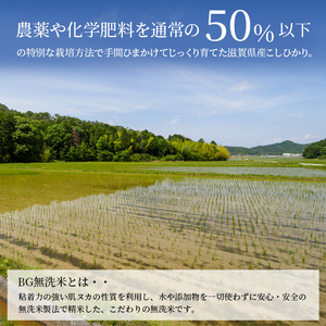 米 定期便 12ヶ月 5kg みずかがみ BG無洗米 令和7年産 滋賀県産
