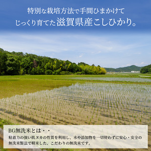 特A受賞歴 定期便 10kg 10ヶ月 コシヒカリ BG無洗米 令和7年産 無洗米 米 近江米 こしひかり 時短 定期 10回