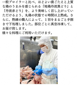 【12回定期便】鶏肉 地鶏丹波黒どり・丹波赤どり 訳あり鶏肉
