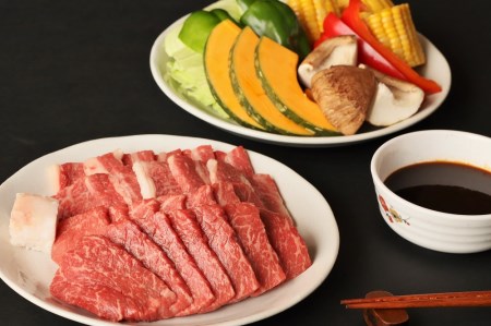 黒田庄和牛と七色の野菜バーベキューセット（モモ、バラ計500ｇ） 44-44