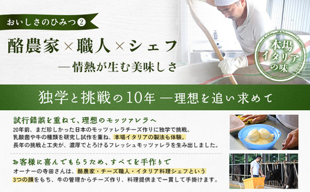 モッツァレラチーズ6個入セット【15000101】