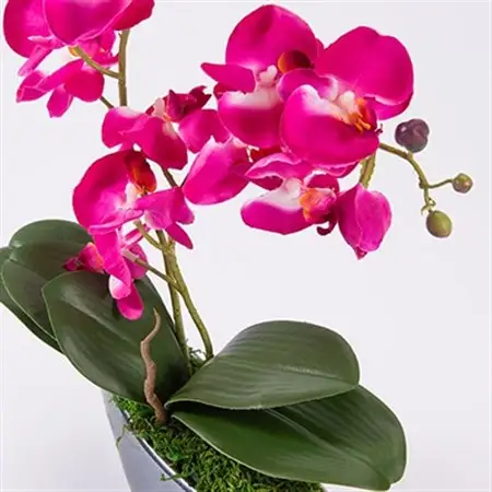 アーティフィシャルフラワー胡蝶蘭アレンジメント光触媒 (ピンク)_花・観葉植物 造花・プリザーブドフラワー 花 _【1033170】