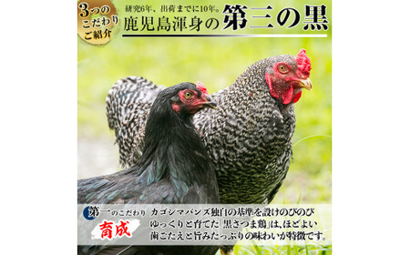 A-137 黒さつま鶏しゃぶしゃぶセット(2～3人前)【カゴシマバンズ】霧島市 鶏肉 鳥肉 お鍋