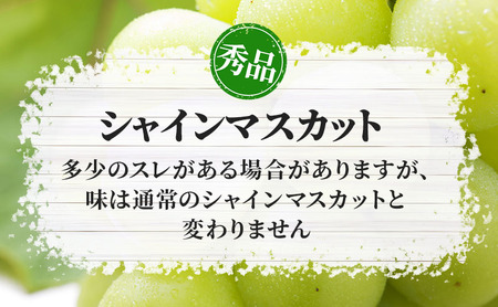 シャインマスカット 約1.1kg 房 秀品 柳澤果樹園 ぶどう 長野 マスカット ブドウ フルーツ 果物 シャイン 果物類 