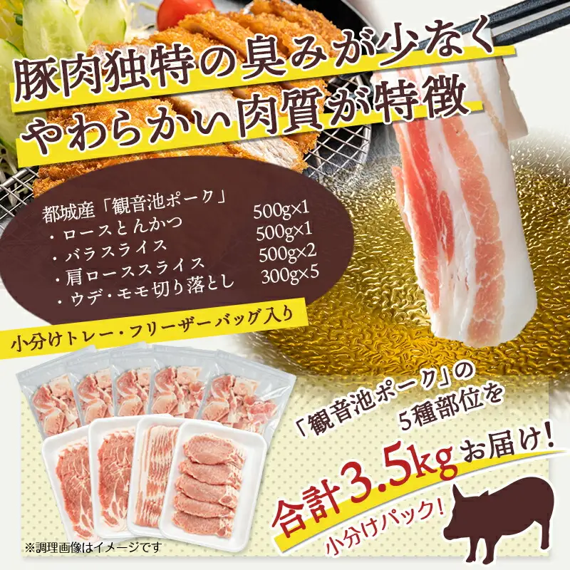 「観音池ポーク」詰合せ3.5kg〔18-1505〕_(都城市) 銘柄豚肉セット 豚ロースとんかつ用 500g 豚バラスライス 500g 豚肩ローススライス肉 500g×2 ウデ・モモ切落とし 300g×5