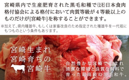 牛肉 宮崎牛 小間切れ 200g 5p 計1kg [マルミヤストア 宮崎県 美郷町 31ag0108]