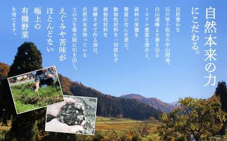 季節の有機野菜 詰合せ Aセット 有機野菜