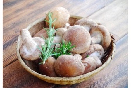 淡路島産の菌床生椎茸（しいたけ）