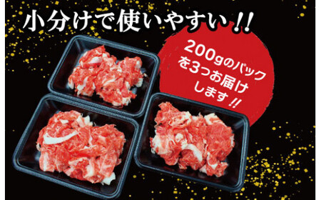 松阪牛 600g 切り落とし松阪牛 SS101