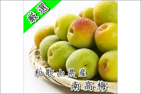 【0585-3】白山農園　梅博士のDR.UME(登録商標)