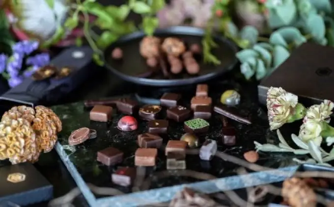 オリジナルチョコレート「ロデッセイ」コイン状チョコレート16枚入り／NICOchocolaterie チョコレート チョコレート専門店 ボンボンショコラ スイーツ お菓子 贈答用 ギフト お取り寄せ 福岡県 小郡市 