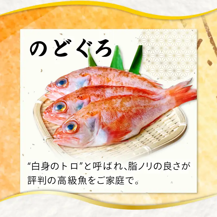 ノドグロ一夜干４尾セット【のどぐろ一夜干し のどぐろ 干物 4尾 1尾あたり120～140g 島根県産 大田市産 魚介類 魚 ノドグロ のど黒 高級魚 干物 真空パック 冷凍】