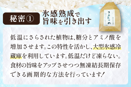 「きぬむすめ」（精米5kg）とご飯のおとも「石見銀山和牛しぐれ」【お米 5kg きぬむすめ 島根県 精米 和牛しぐれ 50g 島根県産 大田市産 米 肉 牛肉 和牛 セット】
