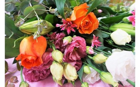 【年4回春夏秋冬】季節のお花バラエティセット定期便★あんずの里【随時開始】[G7009]