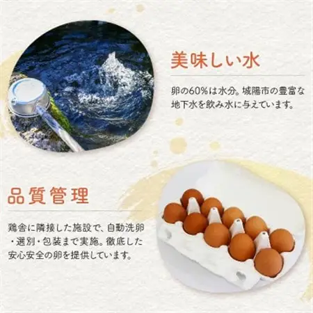 京たまご 茶乃月セット 1箱 30個(10個×3)_卵・乳製品 卵  たまご タマゴ 玉子_【配送不可地域：離島】【1070128】