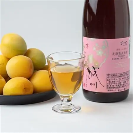 長期熟成梅酒 城州　premium　720ml_酒・アルコール 梅酒  _【1091704】