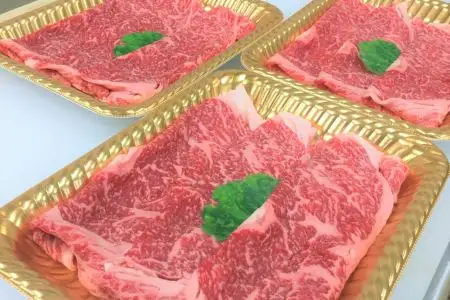 ttn170土佐あかうしローススライス(約740g)