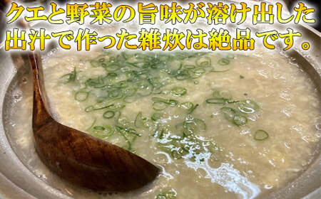 【冷凍】大分県産 高級魚くえ料理セット2人前 海鮮 ＜104-038＞