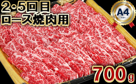 おおいた豊後牛 ６か月連続 定期便 【神田楽市】 国産 九州 大分県 黒毛 和牛 ブランド 牛肉 日本一 受賞 切り落とし ロース 焼肉 サーロイン ステーキ ランプ ステーキ すき焼き 牛丼 肉じゃが カレー おすすめ ランキング ＜105-801＞