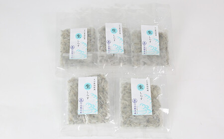 国産！添加物不使用！豊後別府湾生しらす 500g（100g×5パック）＜108-029＞