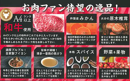 杵築産おおいた和牛カレー３食セット（レトルトカレー） ビーフカレー 黒毛和牛 国産 A4 ビーフ カレー 九州 夏カレー ＜120-001＞