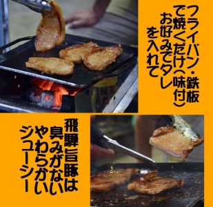 BBQセット けいちゃん＆鉄板セット 飛騨神岡 特産 けいちゃん とんちゃん バーベキュー [Q181]