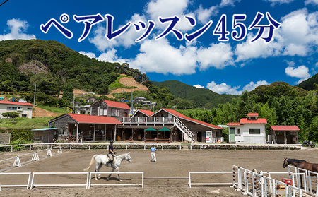 体験 伊豆 乗馬 ペアレッスン45分 天城ホースビレッジ 施設利用券 体験型 子供 大人