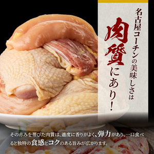 名古屋コーチン鍋セット＆名古屋コーチン1羽分セット 日本三大地鶏 小牧市発祥[001T01]