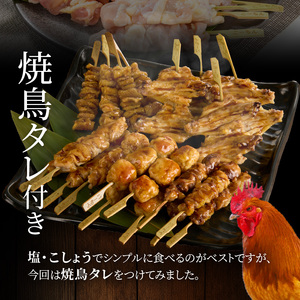 名古屋コーチン焼鳥　5種20本セット（もも・むね・手羽中・皮・つくね）[001T02]