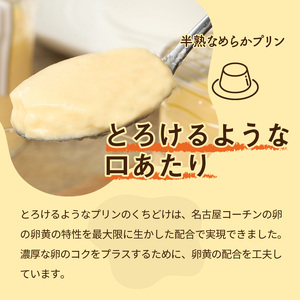 名古屋コーチン卵の半熟なめらかプリン＆クリームチーズケーキ 日本三大地鶏 小牧市発祥[020N01]