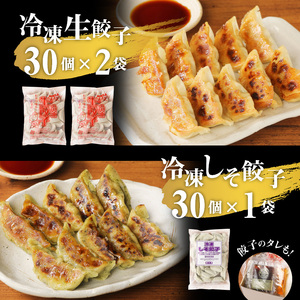 お家で簡単 藤一番 餃子セット(合計90個入)[037D01]ぎょうざ 餃子 ギョーザ 餃子のたれ 冷凍餃子 冷凍ギョーザ ラーメン屋餃子