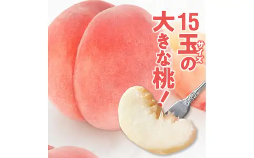 【数量限定】 しのおかの大きな桃(白鳳・秀クラス）[017O01]　白桃 大きな白桃 しのおかの白桃 秀白桃 お取り寄せ白桃