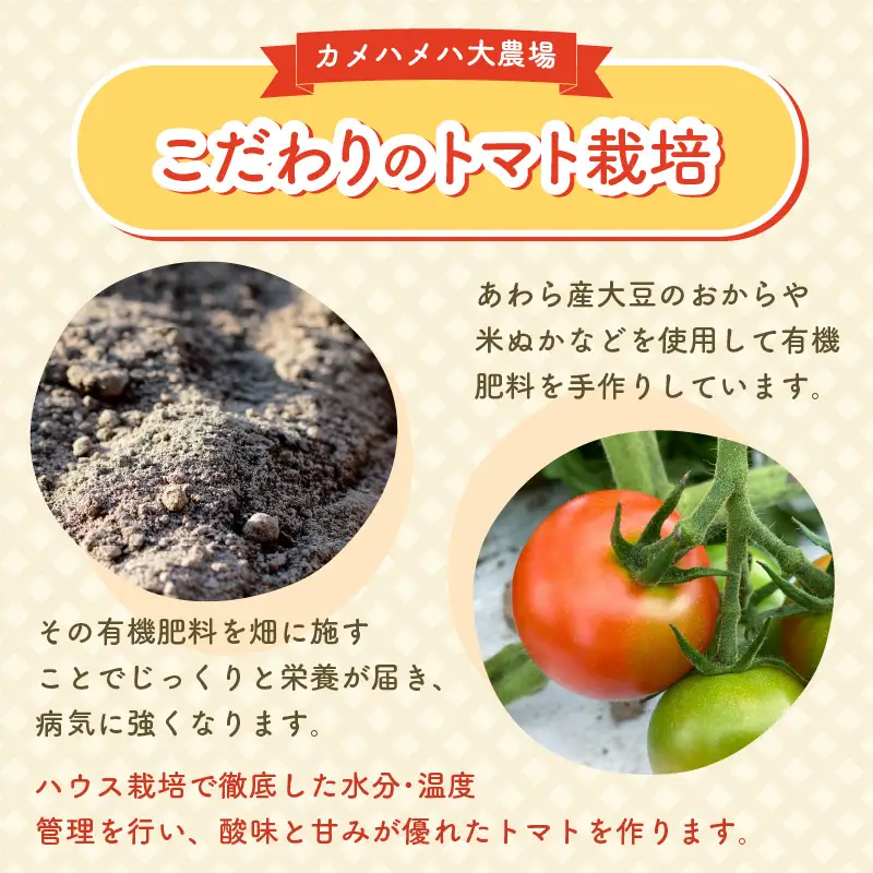 100％完熟トマトジュース 300ml×3本 《朝食に休息時間におすすめ》／  ジュース トマト  [aw018-a002]