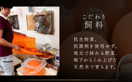 濃厚で甘くておいしい！ 福井ブランド「福地鶏」の卵 30個 ／ 卵 たまご 鶏卵 生卵 有精卵 高級 高級卵 福地鶏 鶏 平飼い 美味しい こだわり 卵かけご飯 料理 あわら市 福井県産 [aw036-a001]