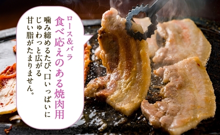 Takahashi Farmの豚肉 焼き肉用セット 豚ロース 豚バラ 各500g 合計1kg 岐阜県産 精肉 豚肉 お肉 焼肉 ヤキニクロース バラ 鉄板焼 国産 豚 ブタ ぶた 料理 人気 お取り寄せ ご褒美 自家用 ギフト 送料無料 岐阜県 揖斐川町 