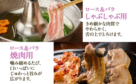 Takahashi Farmの豚肉 まんぷく3kgセット 豚ロース 3種 豚バラ3種 各500g 岐阜県産 精肉 豚肉 しゃぶしゃぶ 焼肉 とんかつ ステーキ バラスライス 国産 豚 ブタ ぶた ポーク 料理 人気 お取り寄せ ご褒美 自家用 ギフト 送料無料 岐阜県 揖斐川町