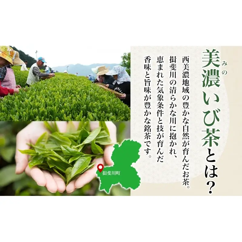 ＜4ヶ月連続 定期便＞美濃揖斐茶 初摘み 一番茶 上級 深蒸し煎茶 80g 3袋 農林水産大臣賞受賞 お茶 日本茶 緑茶 茶葉 煎茶 GAP認証茶 国産 深蒸し茶 お茶葉 お茶っ葉 産地直送 いび茶の里 送料無料 岐阜県 揖斐川町