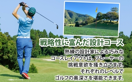 大垣カントリー倶楽部利用券 1000円券×3枚  ゴルフ場利用券 ゴルフ ゴルフクラブ 倶楽部 利用チケット チケット 利用券 コース コースレイアウト ゴルファー ゴルフ場 ギフト プレゼント 送料無料 岐阜県 揖斐川町