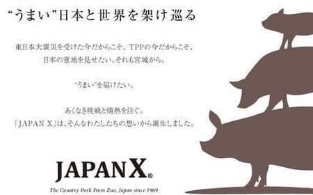 豚肉『JAPANX』3種・2,070g詰合せ「蔵王からの贈りものセットA」　【04301-0190】