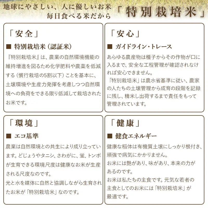 【令和7年産】 米の里の特別栽培米雪若丸 精米 6kg(2kg×3袋)　山形県鶴岡市産　K-763