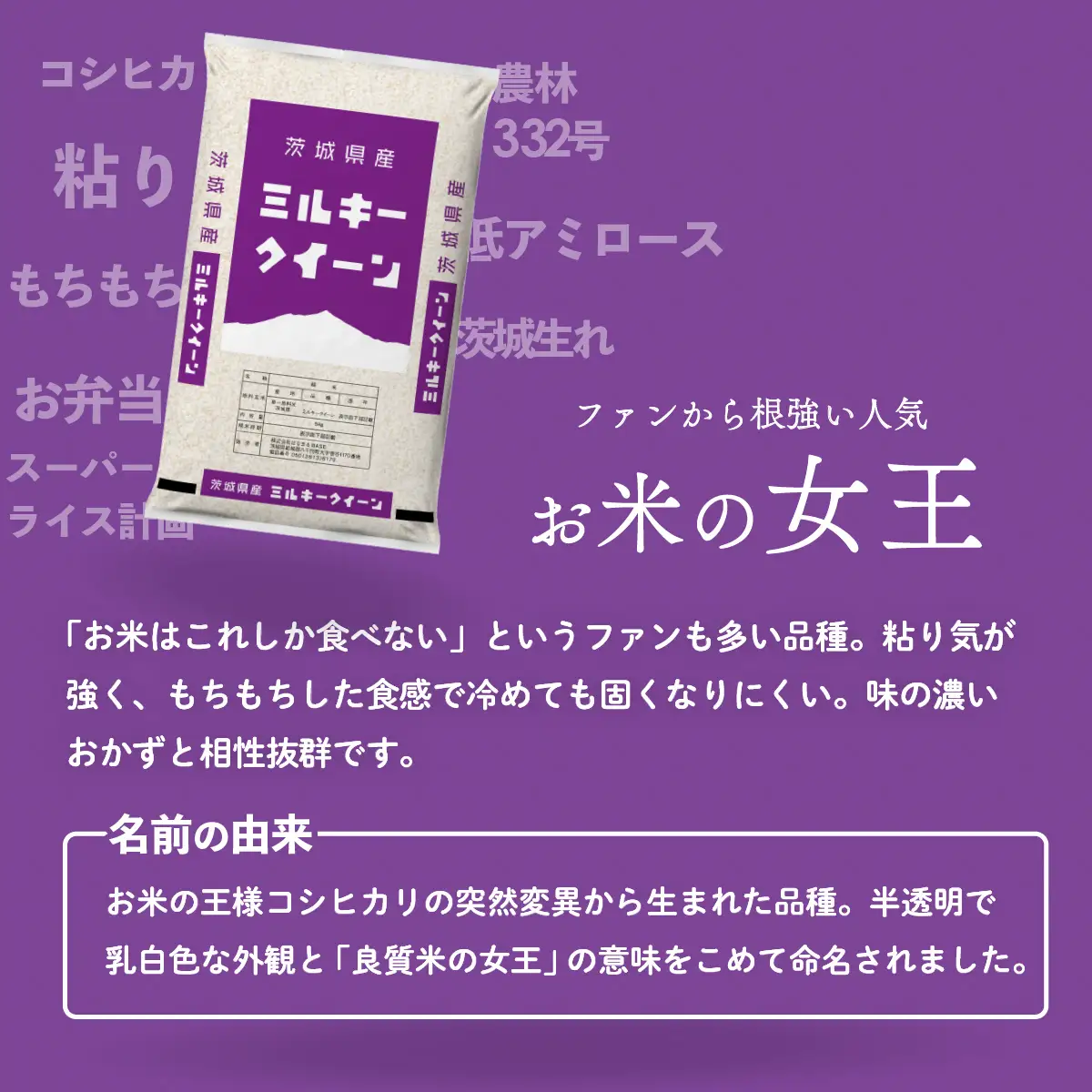 米 精米 令和7年産 ミルキークイーン 5kg スピード発送