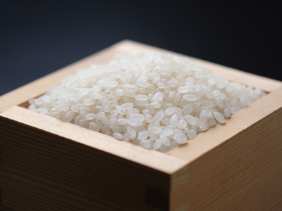 【定期便】吉野ひのひかり10kg（5Kg×2袋）×半年分《川本米穀店》
