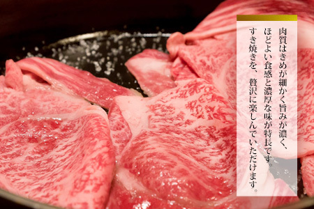 佐賀牛肩ロースすき焼き用 500g K062020
