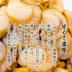 【ふるさと納税】ボイルベビーホタテ Lサイズ 3kg（1kg×3袋）1袋あたり80-100個 加熱用 ホタテ 数量限定 帆立 海鮮 北海道