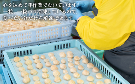 【北海道産】お刺身用ホタテ貝柱600g(300g×2) ほたて 帆立 生食用 小分け 玉冷 貝柱 刺身 生食