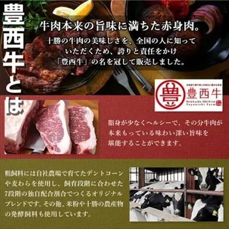 豊西牛100% ハンバーグ 10枚入 ギフト 贈答用 (トヨニシソース付)_ハンバーグ 牛肉 小分け 個包装 ギフト 贈答 ソース付 人気 おすすめ 送料無料 総菜 おかず 北海道 帯広 豊西牛 ブランド牛 赤身 100%_【配送不可地域：離島】【1205058】